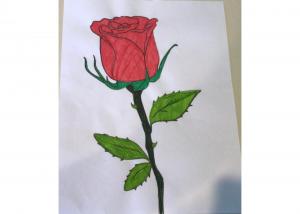 HMS Art Contest 2021 Julia-L