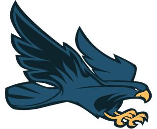 Hawk Flying
