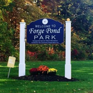 Forge Pond Park